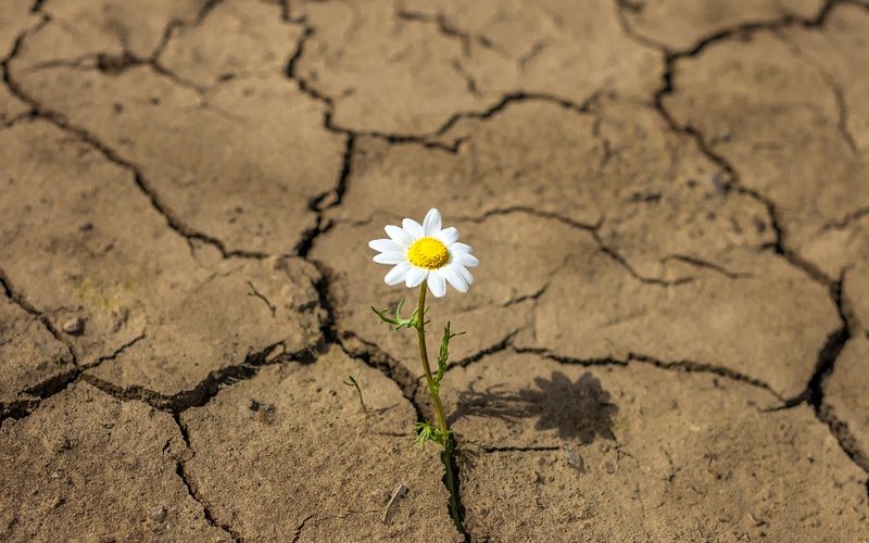 Tres fortalezas para tu salud emocional y autoestima