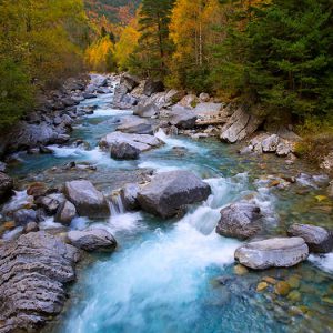 Como un río de paz